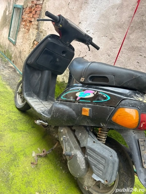 vand sau schimb cu animale - imagine 3