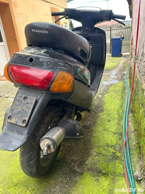 vand sau schimb cu animale - imagine 2