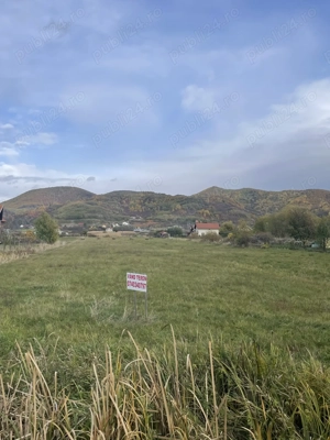 Teren vanzare Seini, MM - imagine 2