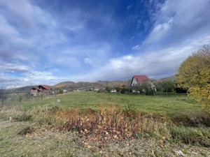 Teren vanzare Seini, MM - imagine 5