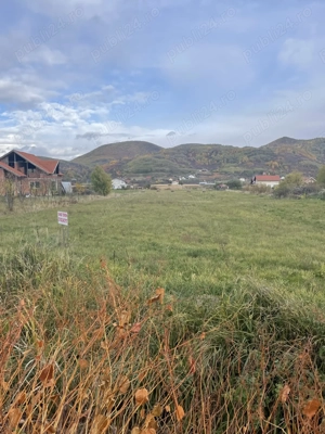 Teren vanzare Seini, MM - imagine 6