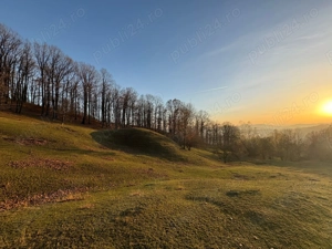 Teren de vanzare Breaza-Nistoresti, zona frumoasa langa padure, ideal pentru cabana la munte