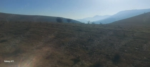 Super ofertă! Teren extravilan, Piatra Neamț - imagine 7