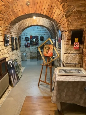 Ocazie! Casa ultracentrala cu 8 camere, 315 mp, pentru clinica, birou sau local!