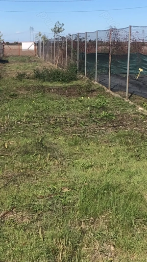 Rezidential Ciorogarla  1352mp,  cea mai linistita pozitie pentru casa sau investitie profitabila - imagine 8