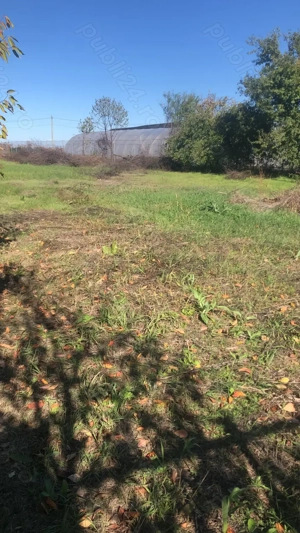 Rezidential Ciorogarla  1352mp,  cea mai linistita pozitie pentru casa sau investitie profitabila - imagine 7