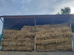 Baloți fân, trifoi prima coasă - Dragomirești Neamț