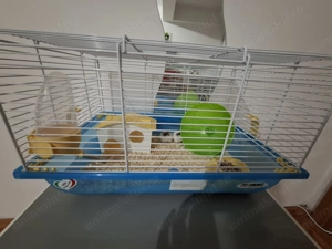 Donez 2 hamsteri mici si draguti - imagine 4