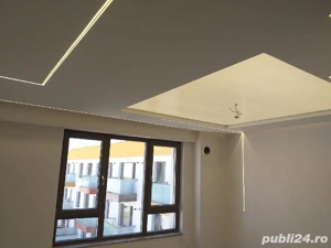 Zugrav Clujean - imagine 3