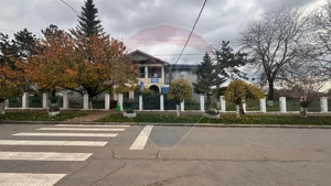 Teren de vanzare Negru Voda central - imagine 6