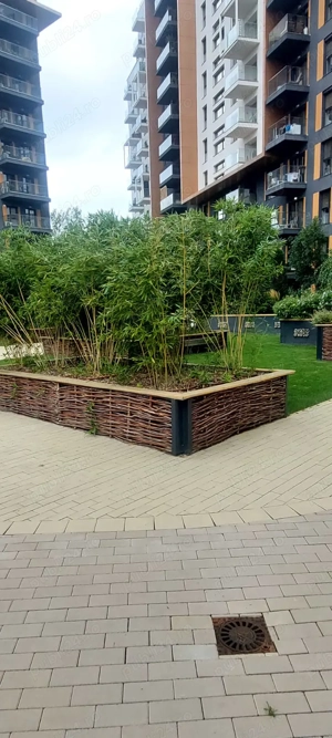 Herastrau ofer spre inchiriere - imagine 2