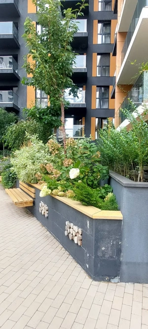 Herastrau ofer spre inchiriere - imagine 4