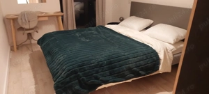 Herastrau ofer spre inchiriere - imagine 8