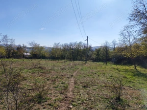 Teren 10000mp.Loc Calvini