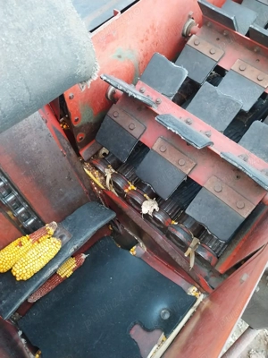  Vand Culegatoare porumb - imagine 2