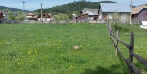 Teren intravilan Vama SV 1921mp 39ml deschidere intabulare 2018 - imagine 3