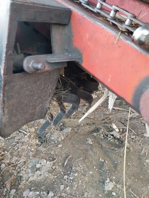  Vand Culegatoare porumb - imagine 4