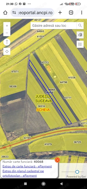 Teren de vânzare în Șcheia  - imagine 6