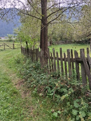 Vind teren zona Pietroasa- Broșteni ,jud Suceava. Relații la  