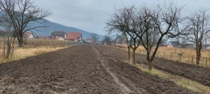 Teren intravilan 1500 m2   14 EUR - imagine 2