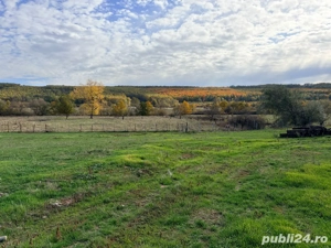 Agrovillage parcele 500-600mp  in Brestovat - Proprietar - imagine 3