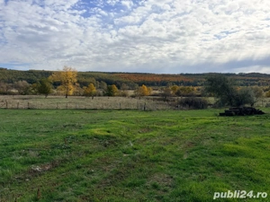 Agrovillage parcele 500-600mp  in Brestovat - Proprietar - imagine 5