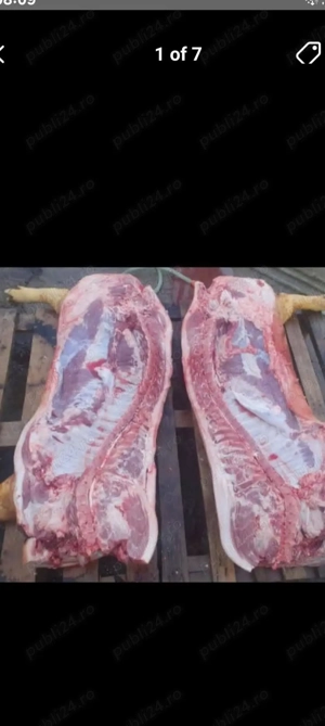 Porci de vanzare in carcasa