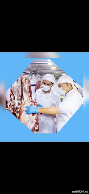 locuri de muncă la fabrica de carne în Germania 