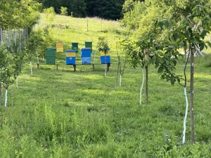 Vând țuică, vin și miere