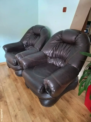 Fotolii piele ecologică 