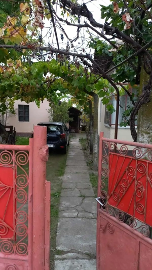 casa de vanzare localitatea Jiana