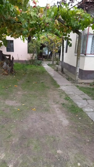 casa de vanzare localitatea Jiana - imagine 4