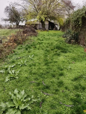 Casă bătrânescă din cărămidă 