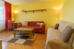 Proprietar - 3 camere DECOMANDATE, CENTRALA proprie, complet utiliat, JACUZZI, langa Iulius Mall - imagine 8