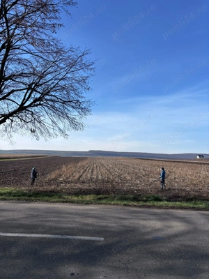 Teren de vanzare, 37 ari, Mitocu Dragomirnei 800 EUR  AR   negociabil