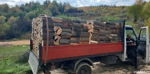 lemne de foc fag stejar sau salcâm 