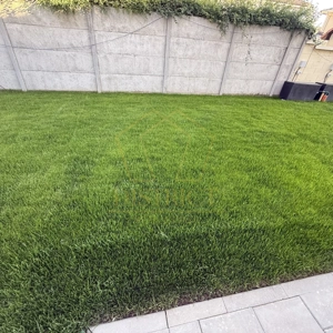 Duplex superb cu 4 camere si 3 bai | Dumbravita - imagine 12