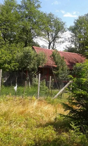 Vanzare Cabană + teren aferent 8HA - imagine 2