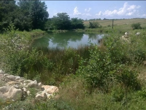 Vanzare Cabană + teren aferent 8HA - imagine 9