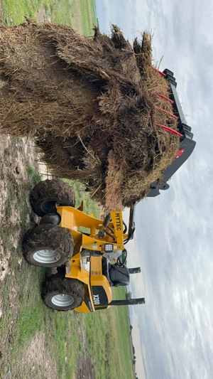 Scot gunoi din saivan 