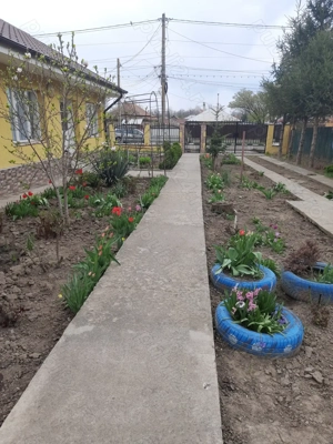 De vanzare, fara schimb