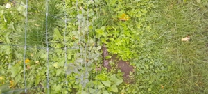 Vw lt axa dubla  - imagine 11