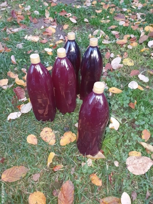 Suc natural de struguri combinat cu măr