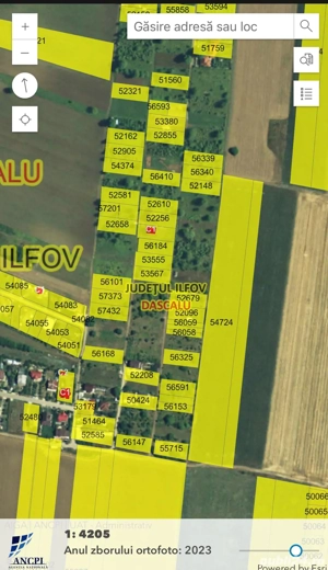 Teren intravilan Dascalu  18000m2  - imagine 5