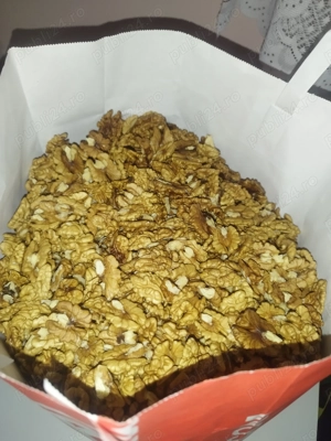 Vând miez de nuca 2024