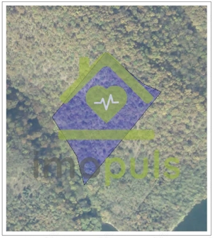 ️ Teren împădurit 20.720 mp (2,07 ha) – malul Lacului Cinciș ✨ - imagine 5