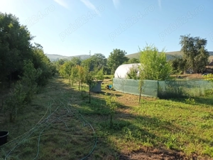 Teren intravilan pentru casa - imagine 3