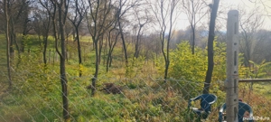 Teren intravilan 1907m2 Hunedoara - imagine 8