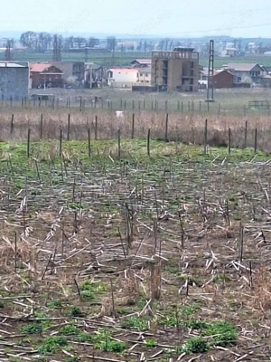 Teren Agigea -Eforie nord  - imagine 5