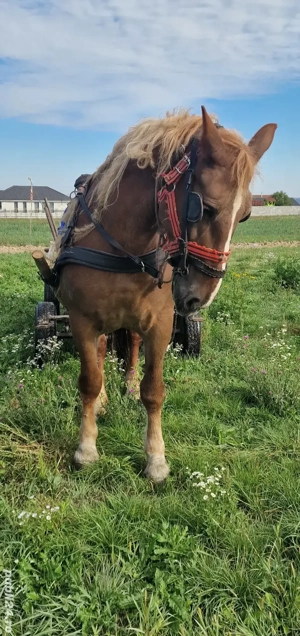 iapa de tractiune - imagine 2